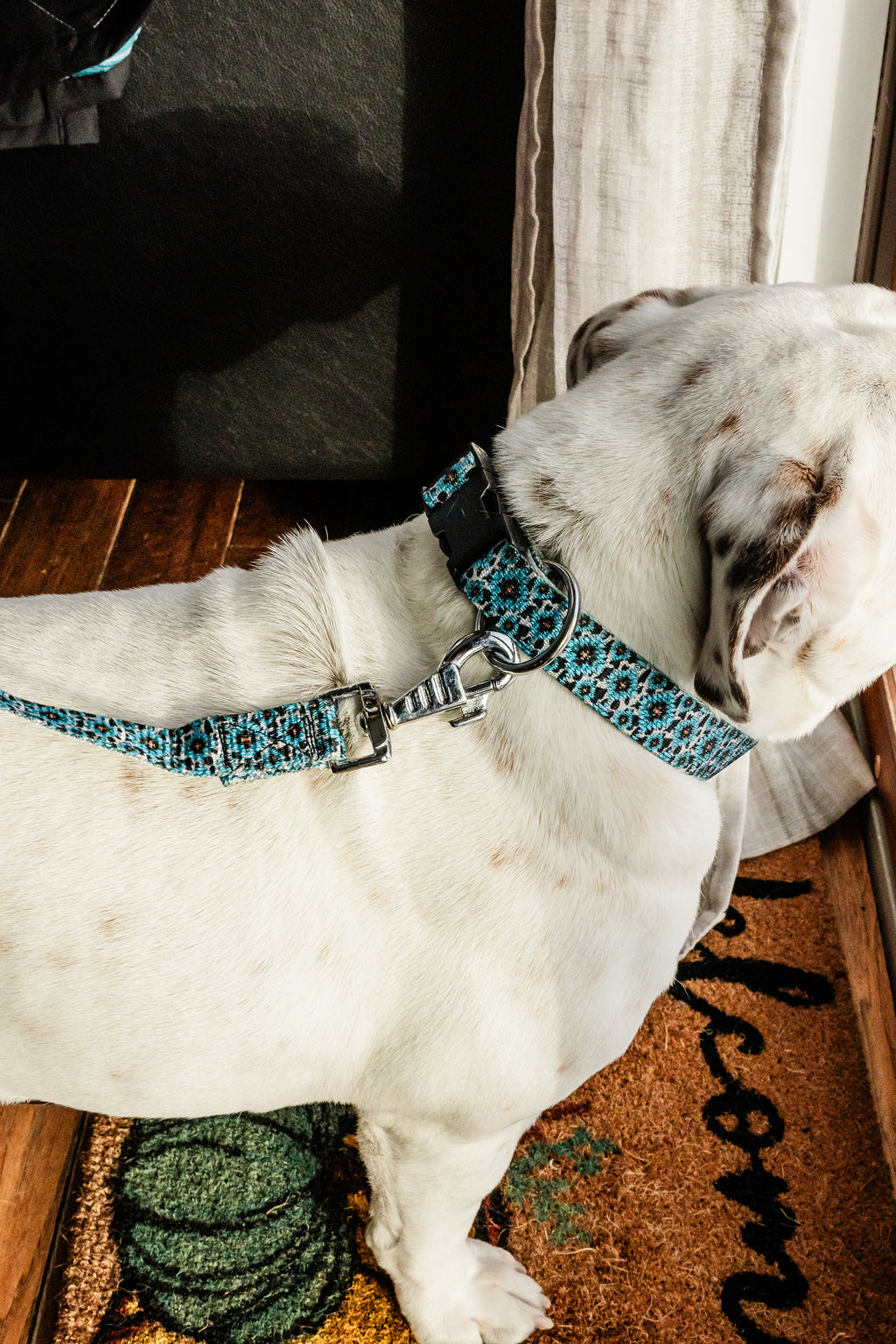 PLR Dog Collar And Leash Set
