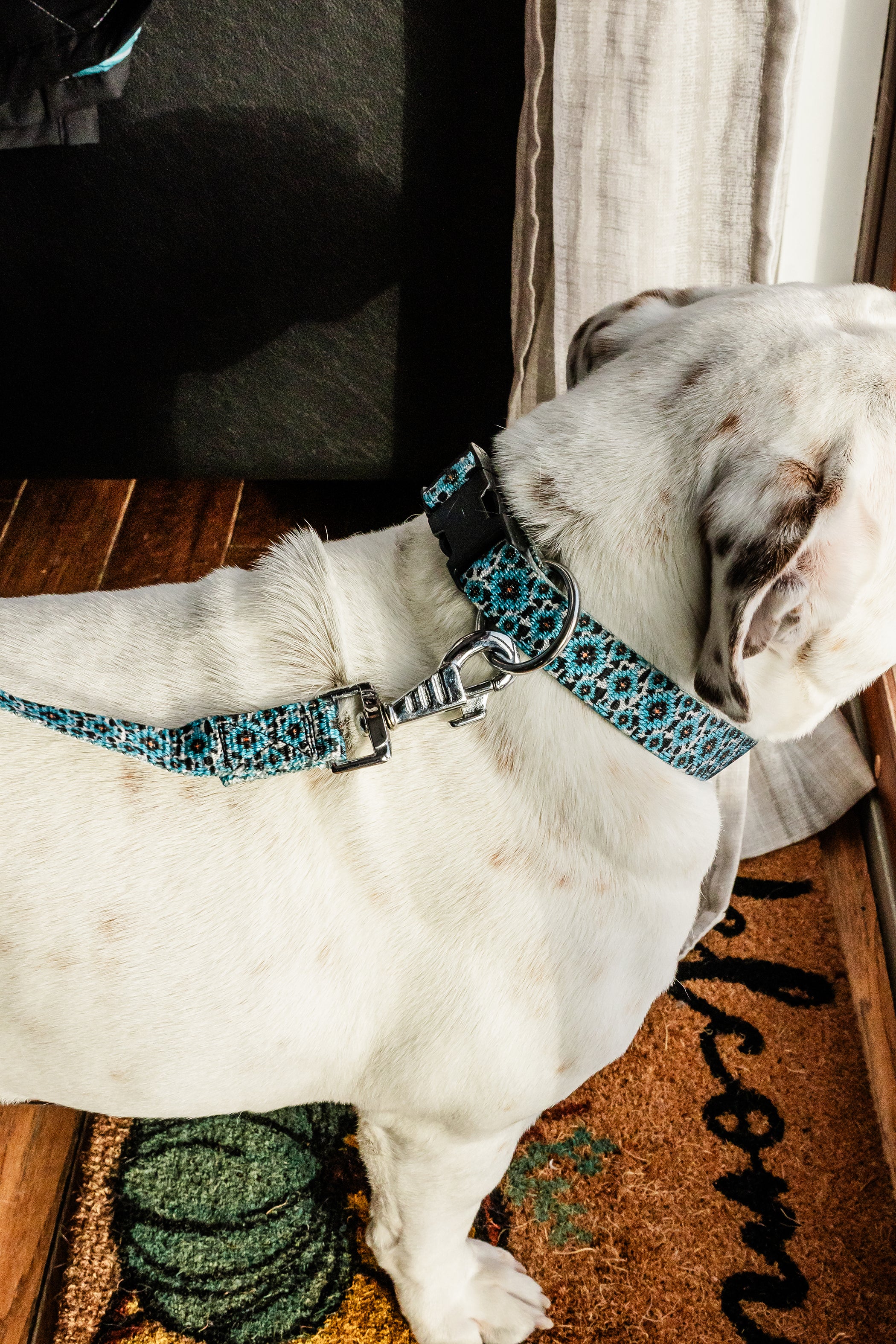 PLR Dog Collar And Leash Set