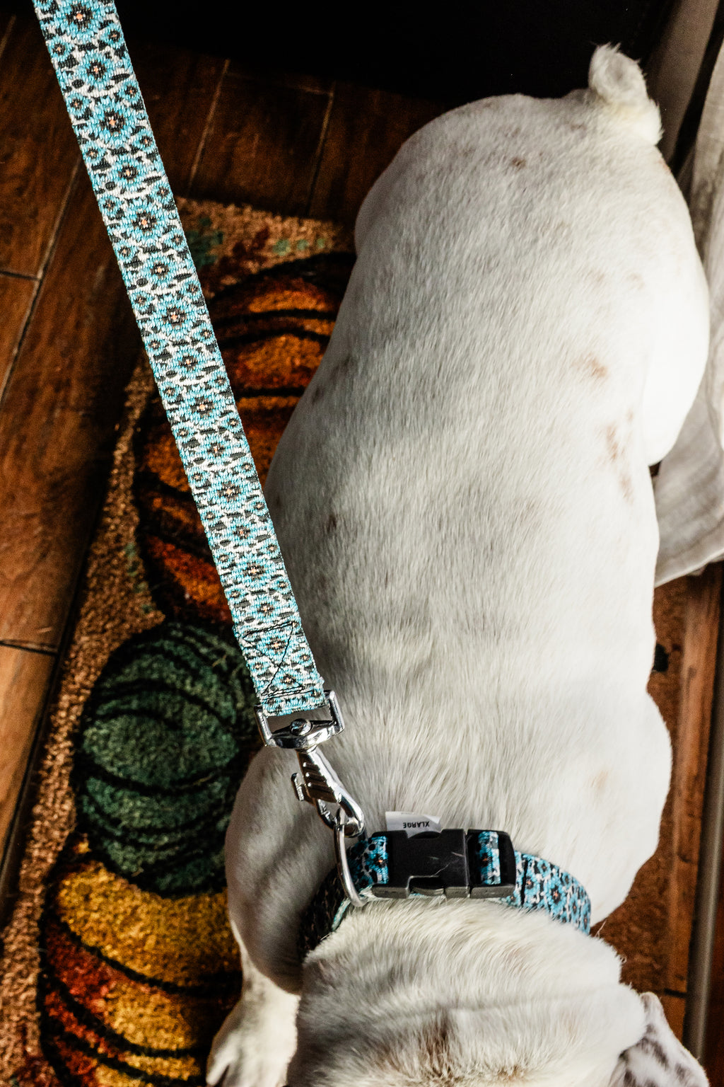 PLR Dog Collar And Leash Set