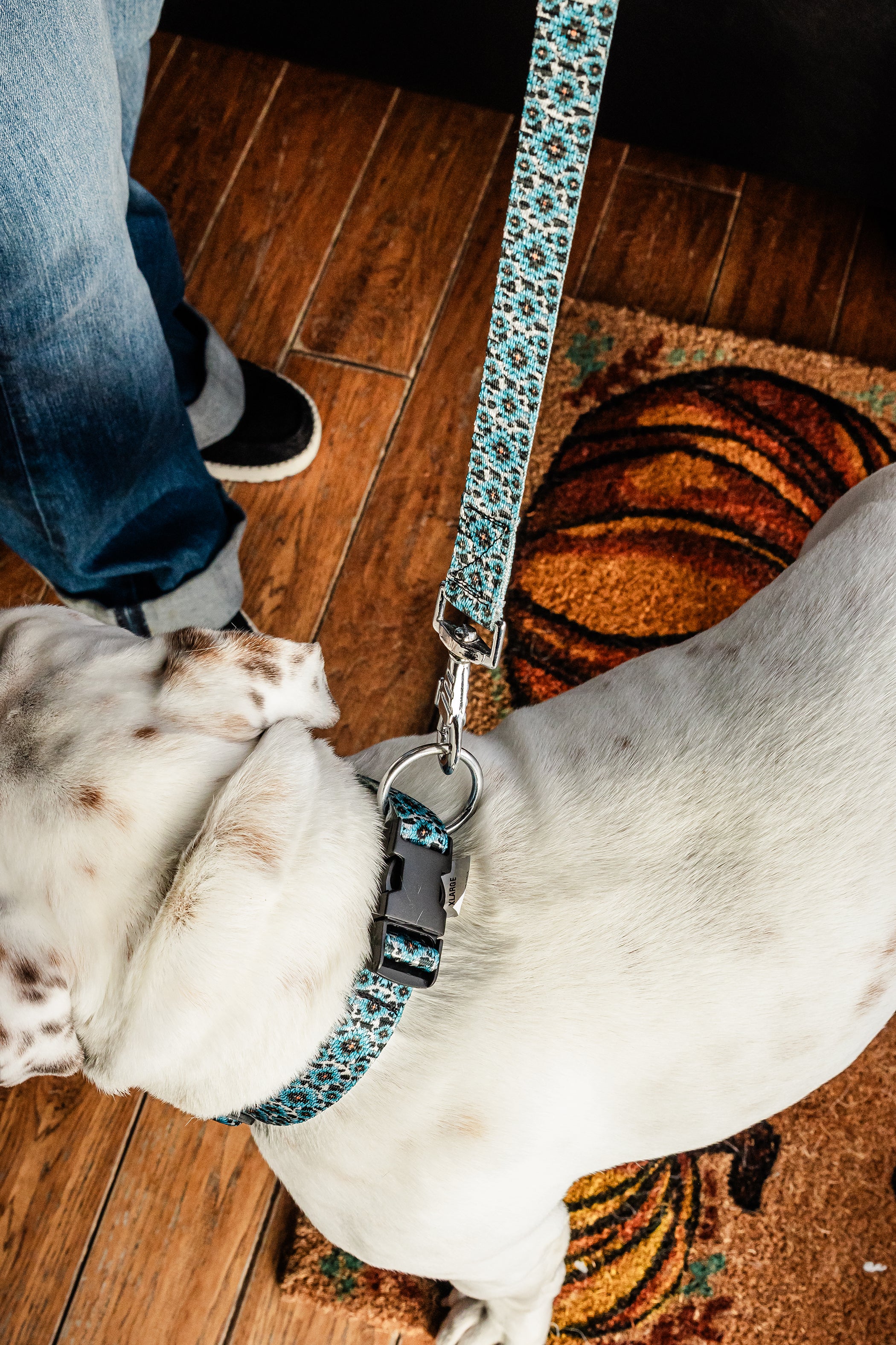 PLR Dog Collar And Leash Set