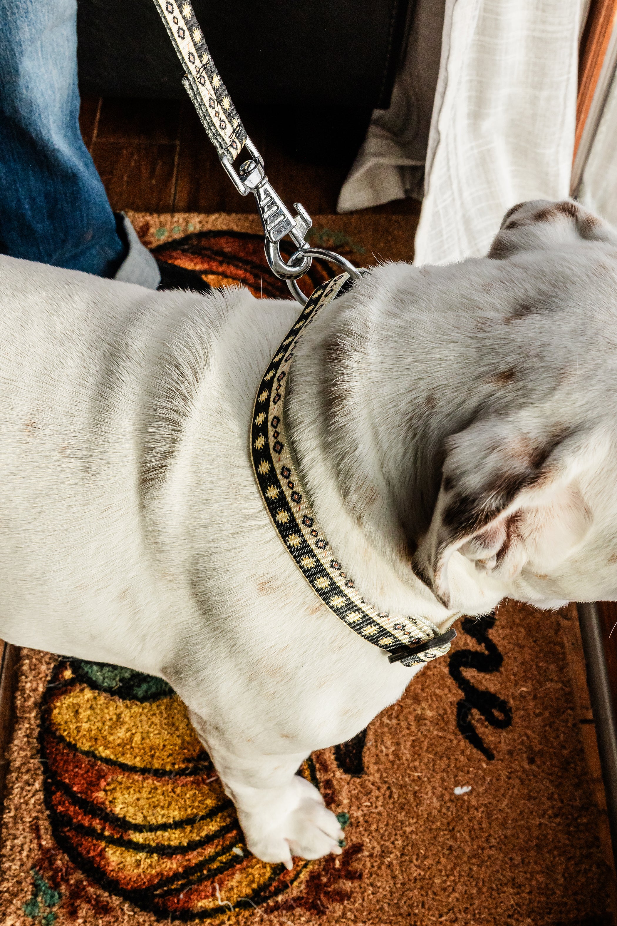 PLR Dog Collar And Leash Set