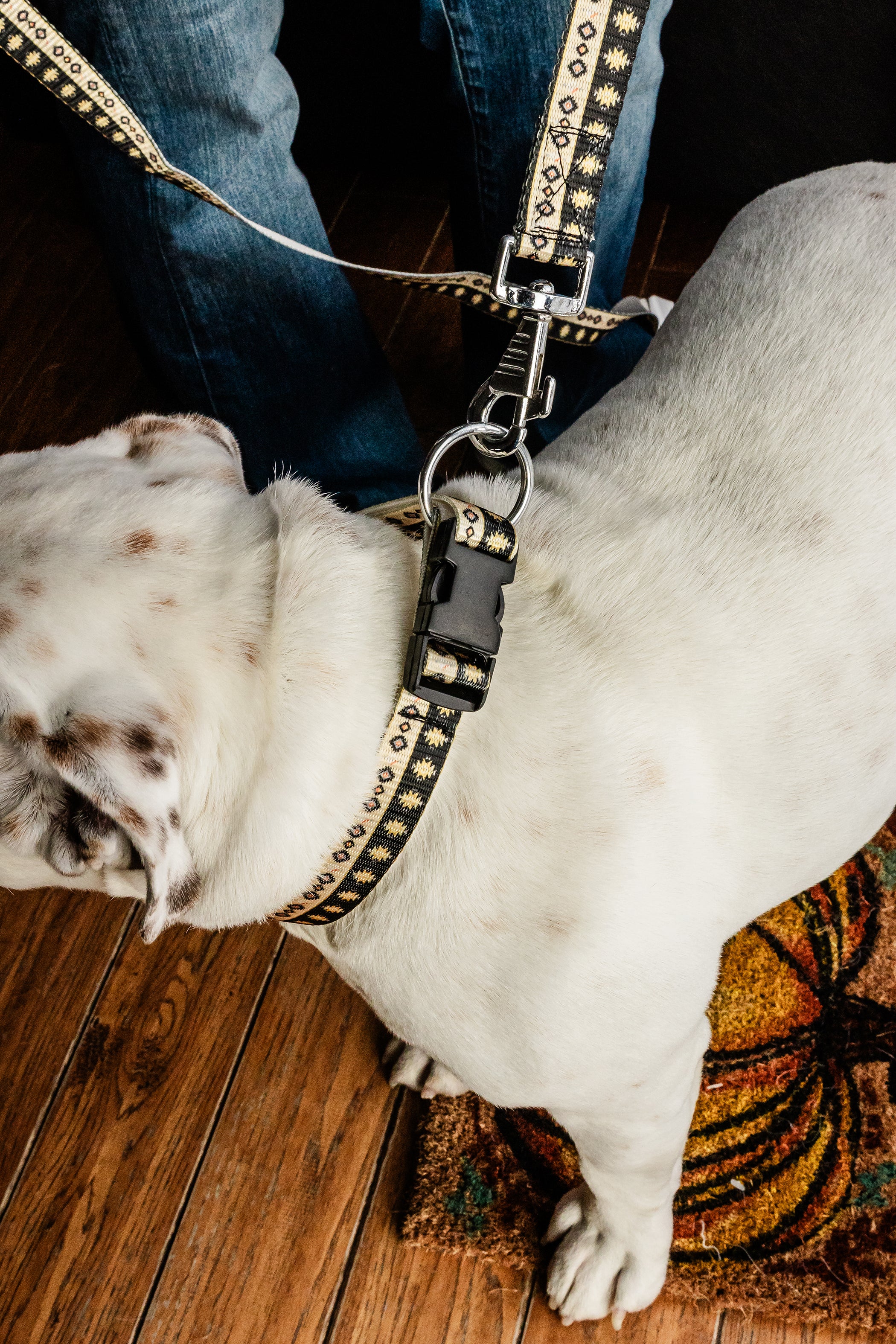 PLR Dog Collar And Leash Set