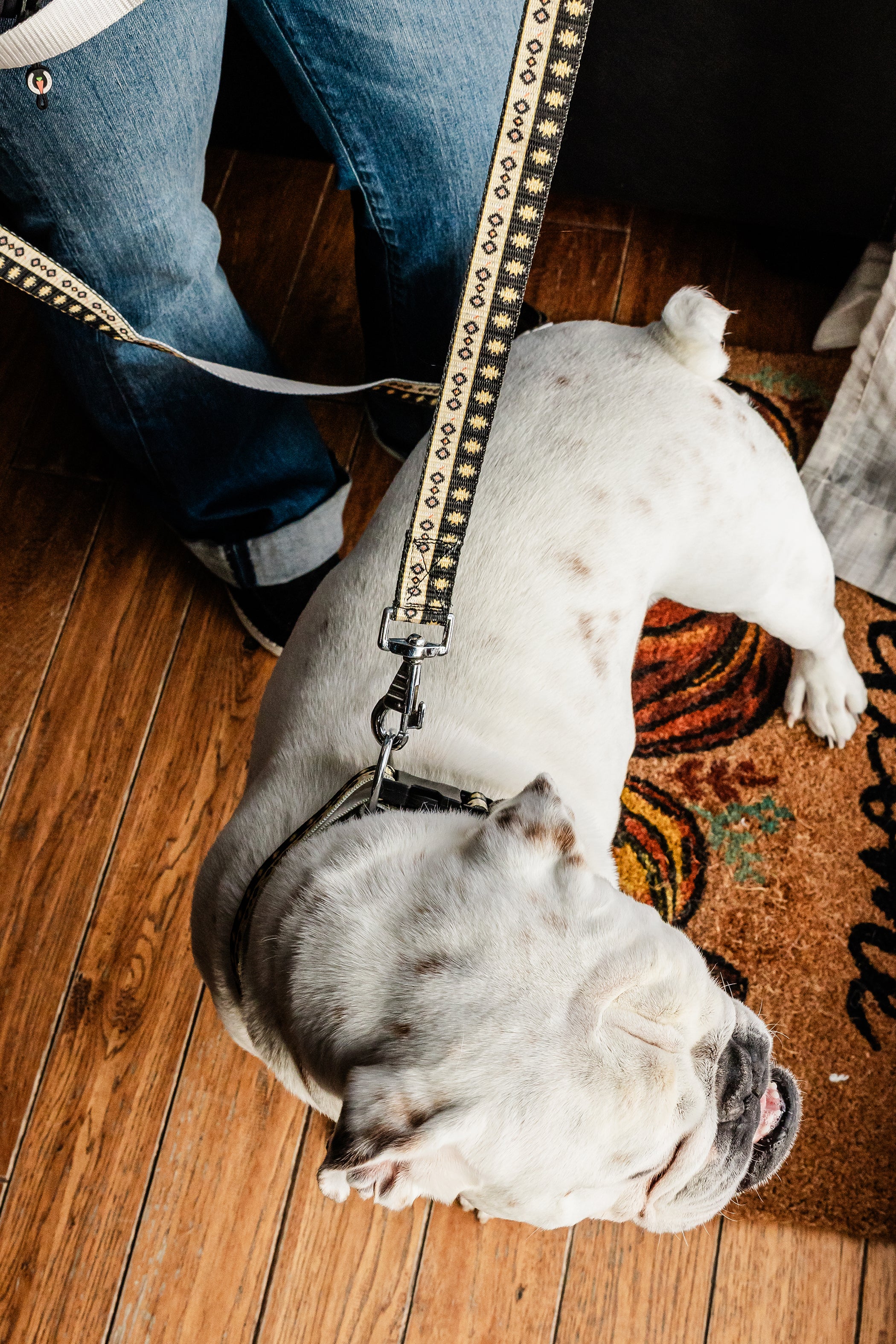 PLR Dog Collar And Leash Set