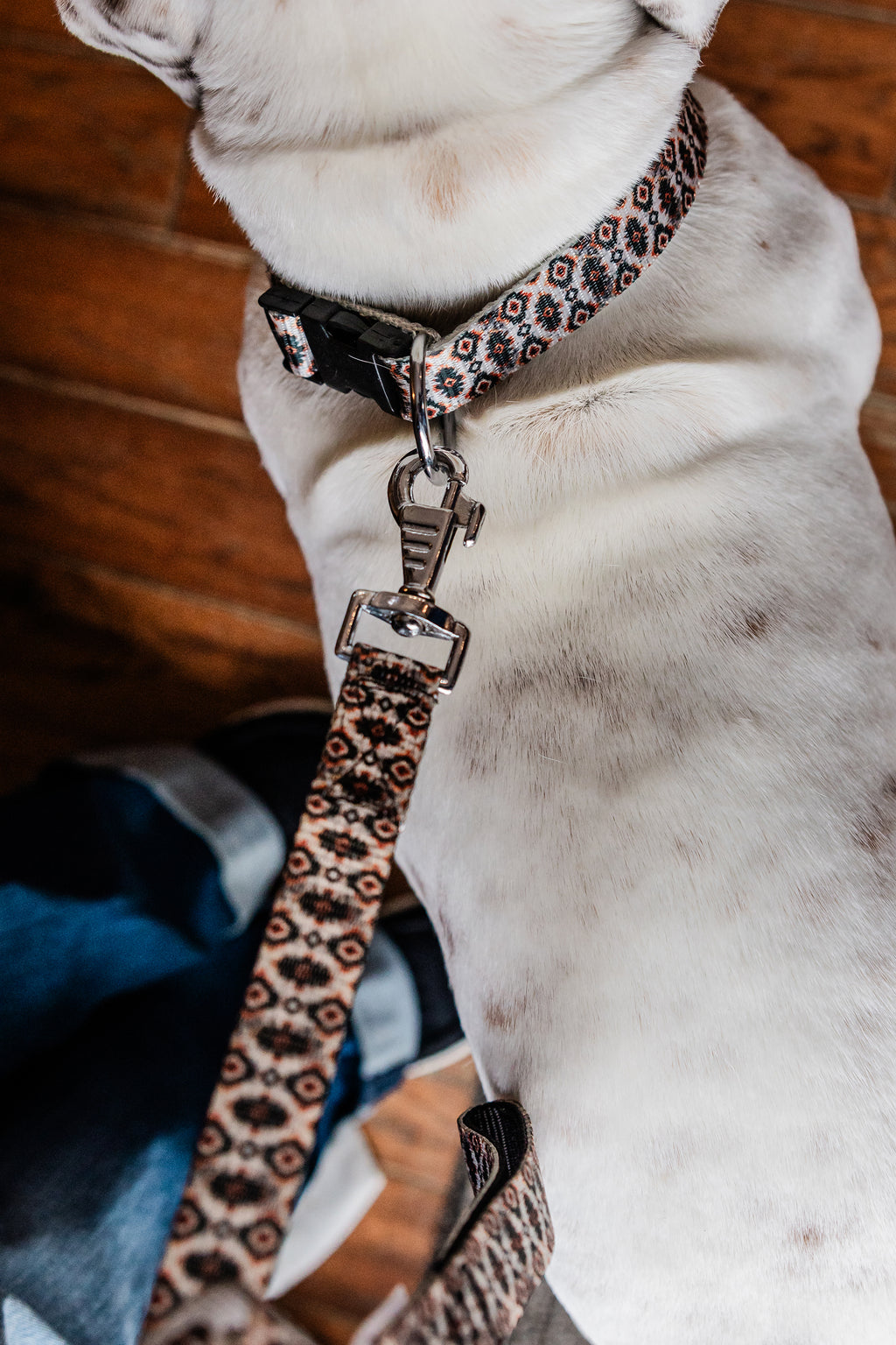 PLR Dog Collar And Leash Set