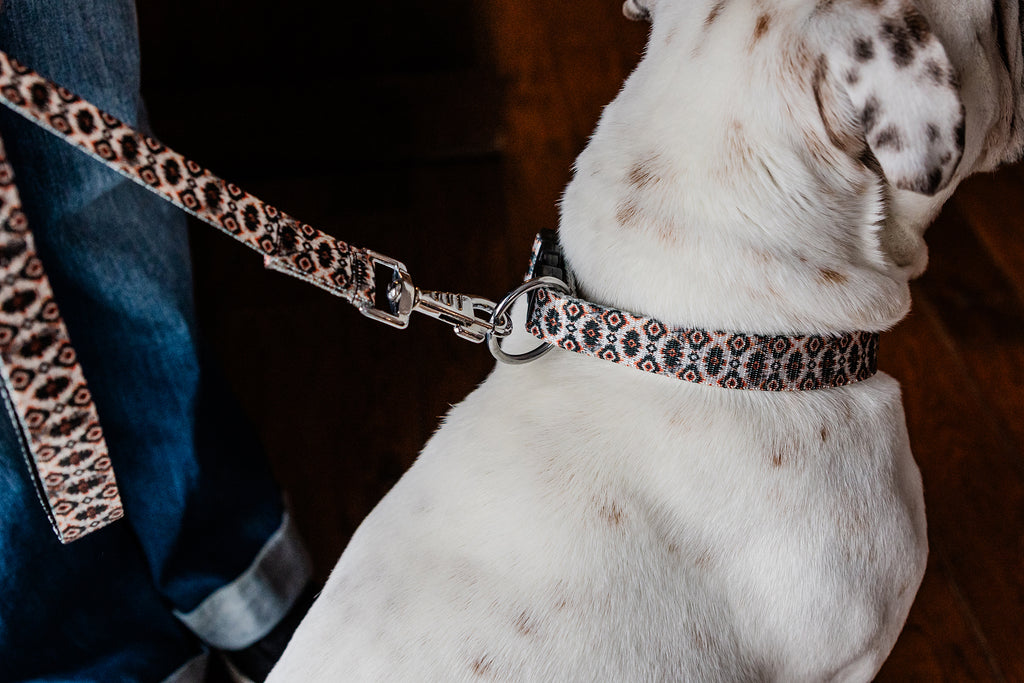 PLR Dog Collar And Leash Set