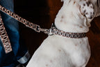 PLR Dog Collar And Leash Set