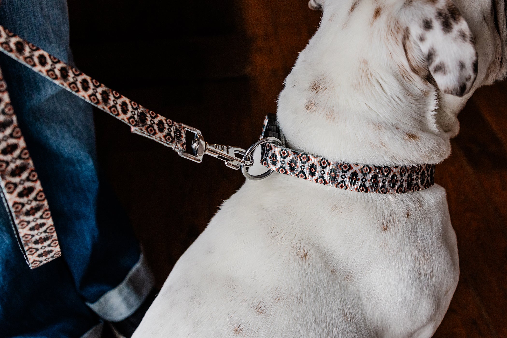 PLR Dog Collar And Leash Set