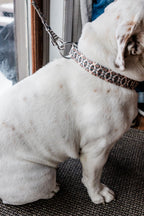 PLR Dog Collar And Leash Set