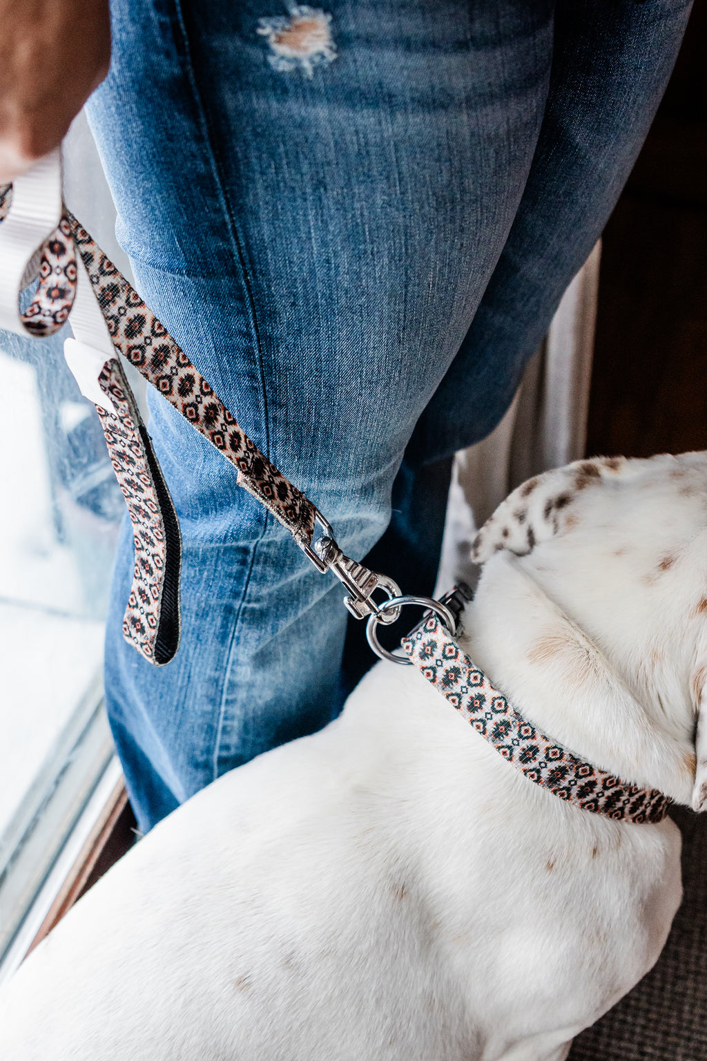 PLR Dog Collar And Leash Set