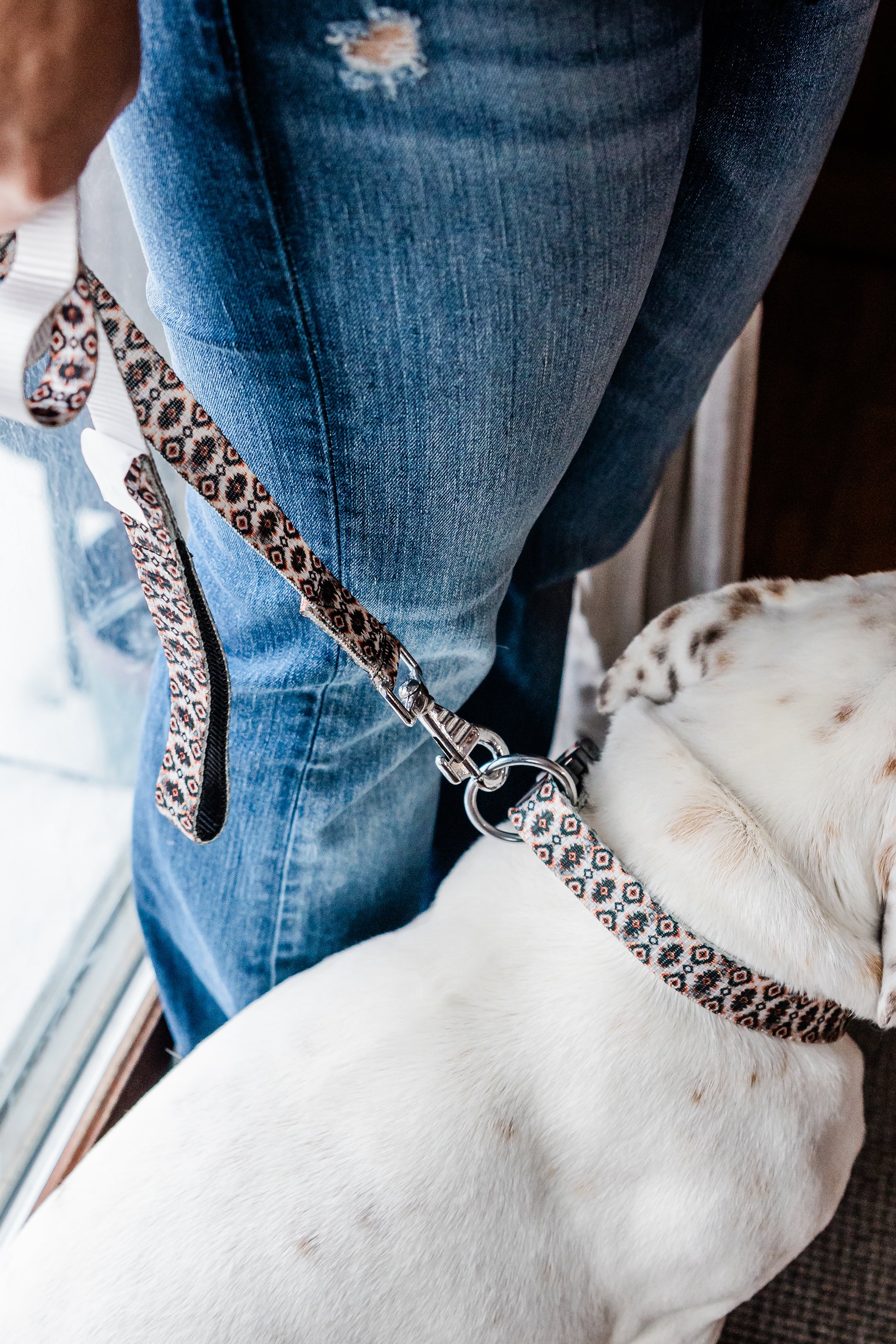 PLR Dog Collar And Leash Set