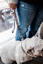 PLR Dog Collar And Leash Set