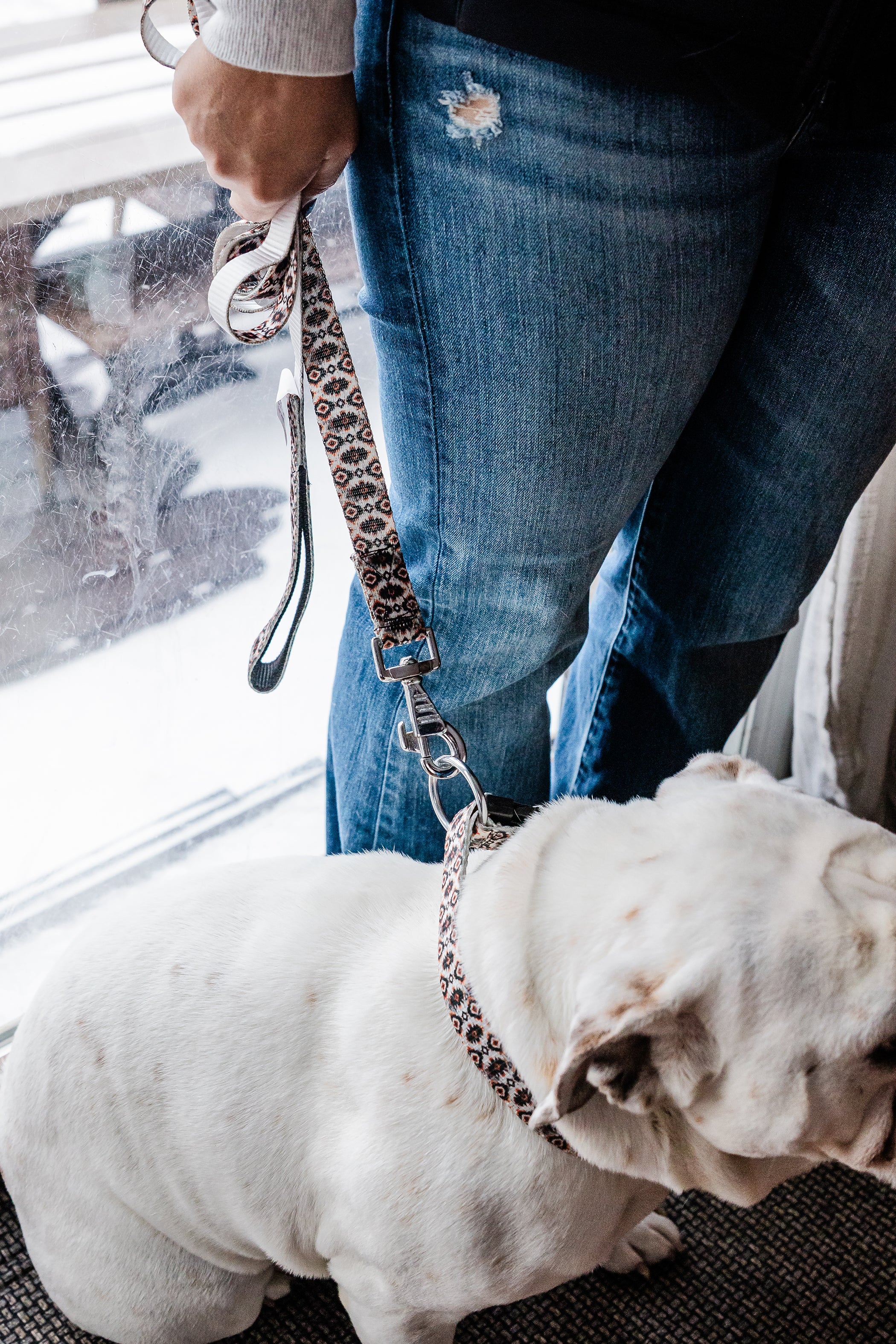 PLR Dog Collar And Leash Set