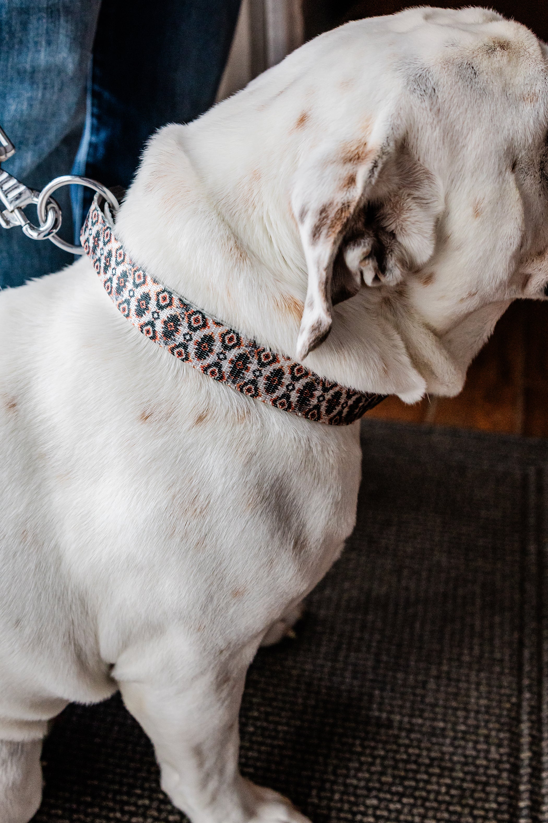 PLR Dog Collar And Leash Set