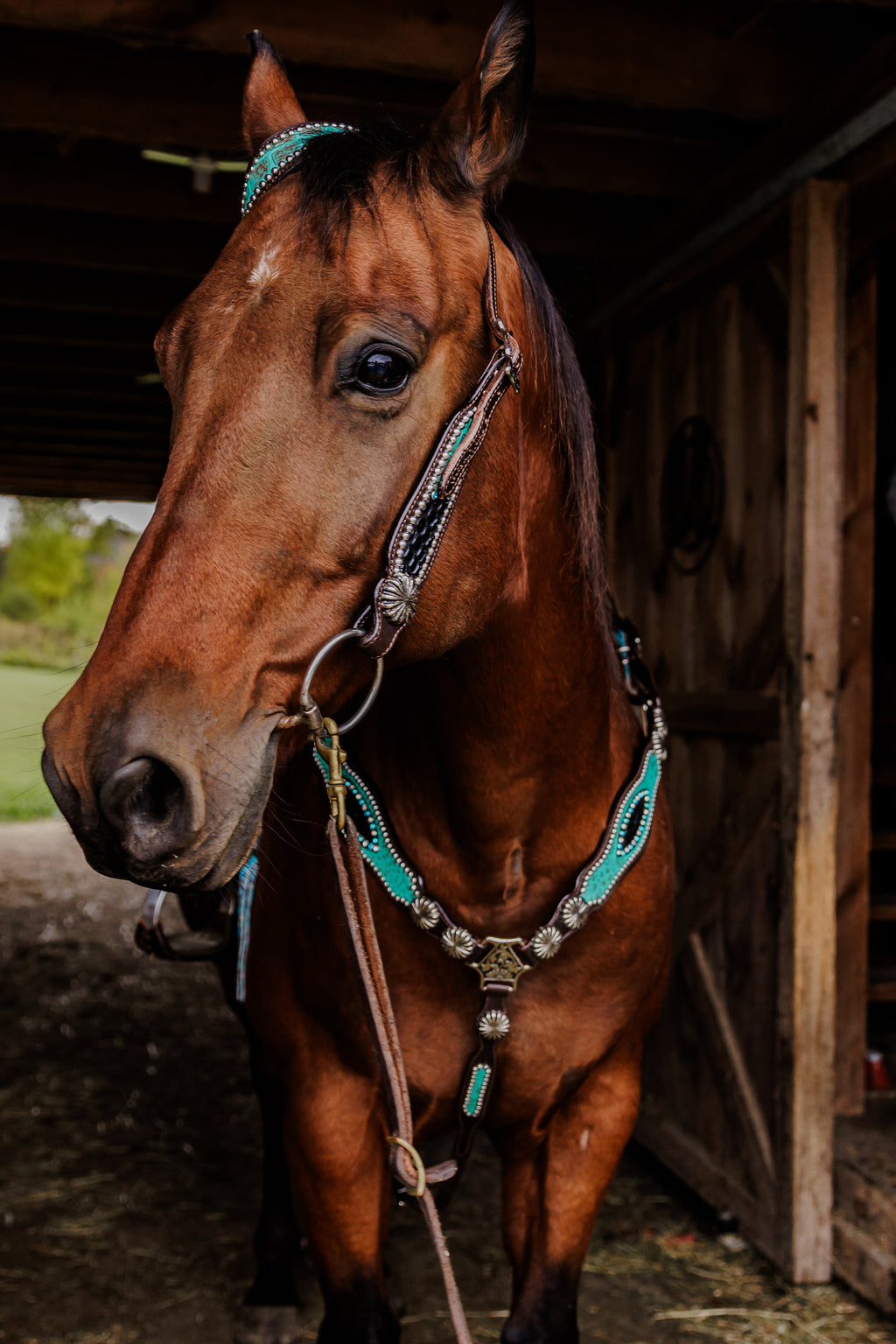 PLR Rowdy Rhinestone Tack Set – Pistol Lilly Ranch