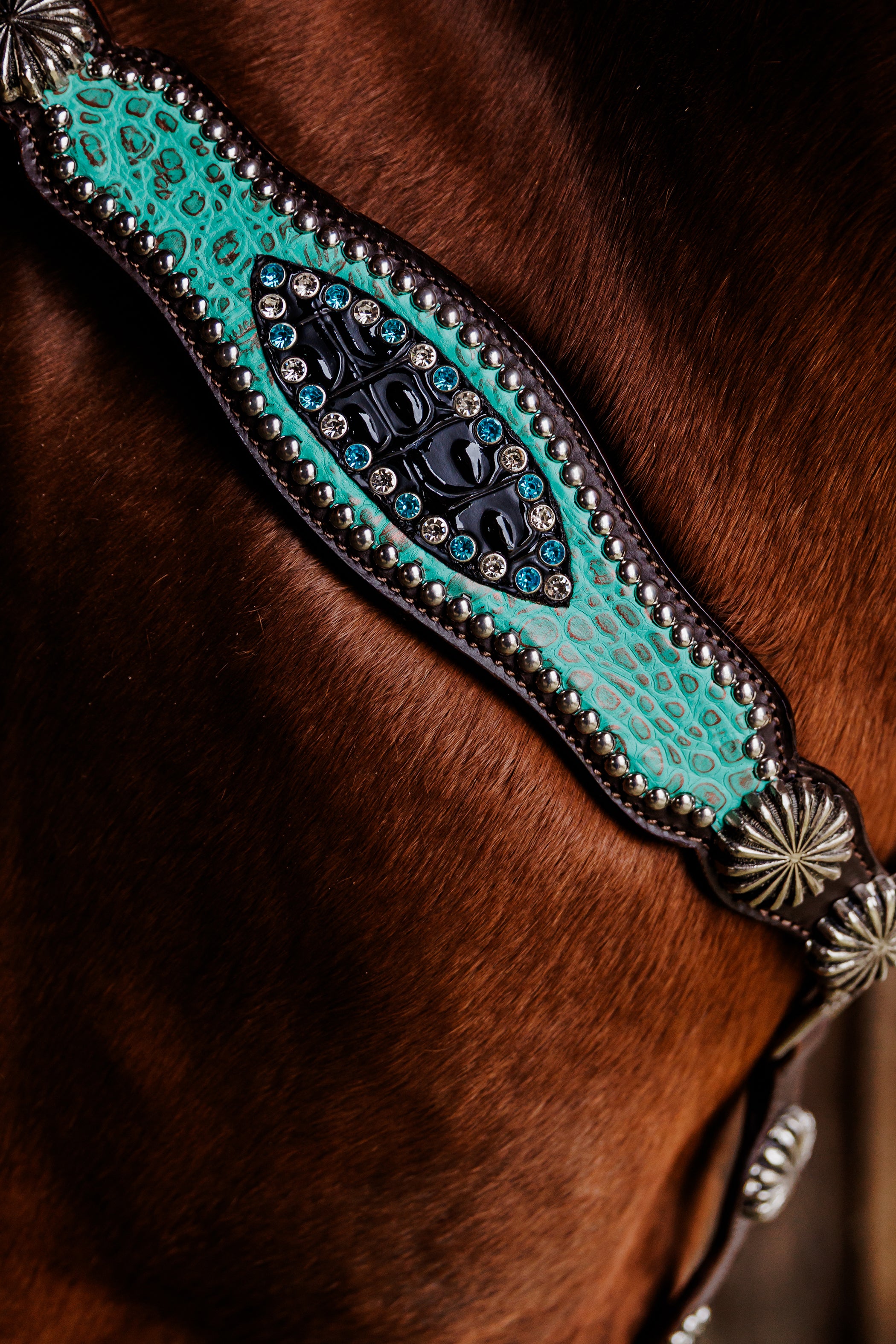 PLR Rowdy Rhinestone Tack Set – Pistol Lilly Ranch