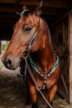 PLR Rowdy Rhinestone Tack Set