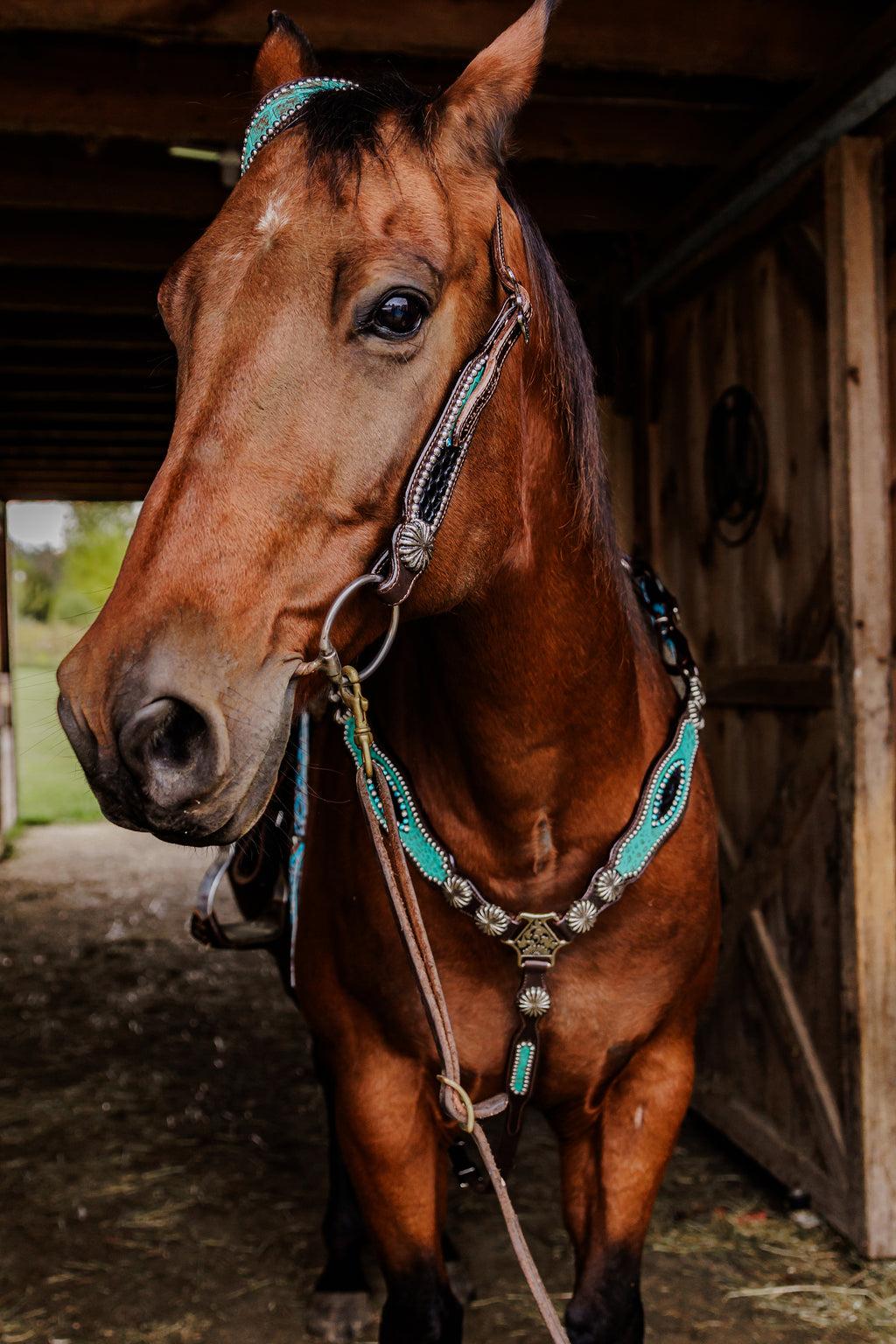 PLR Rowdy Rhinestone Tack Set