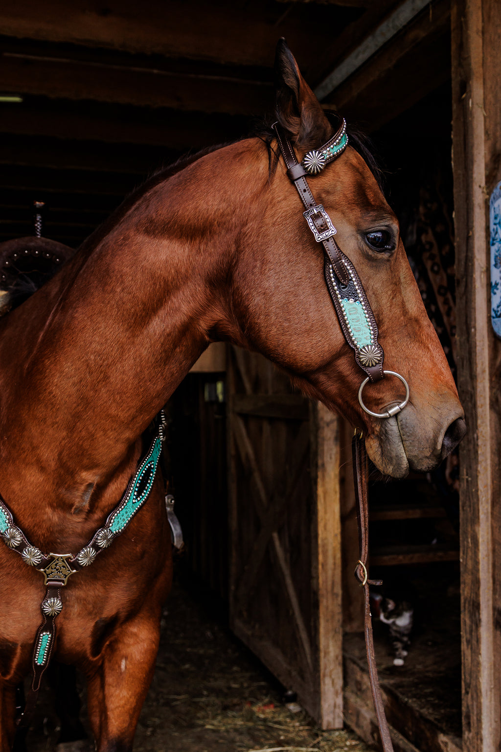 PLR Rowdy Rhinestone Tack Set