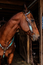 PLR Rowdy Rhinestone Tack Set