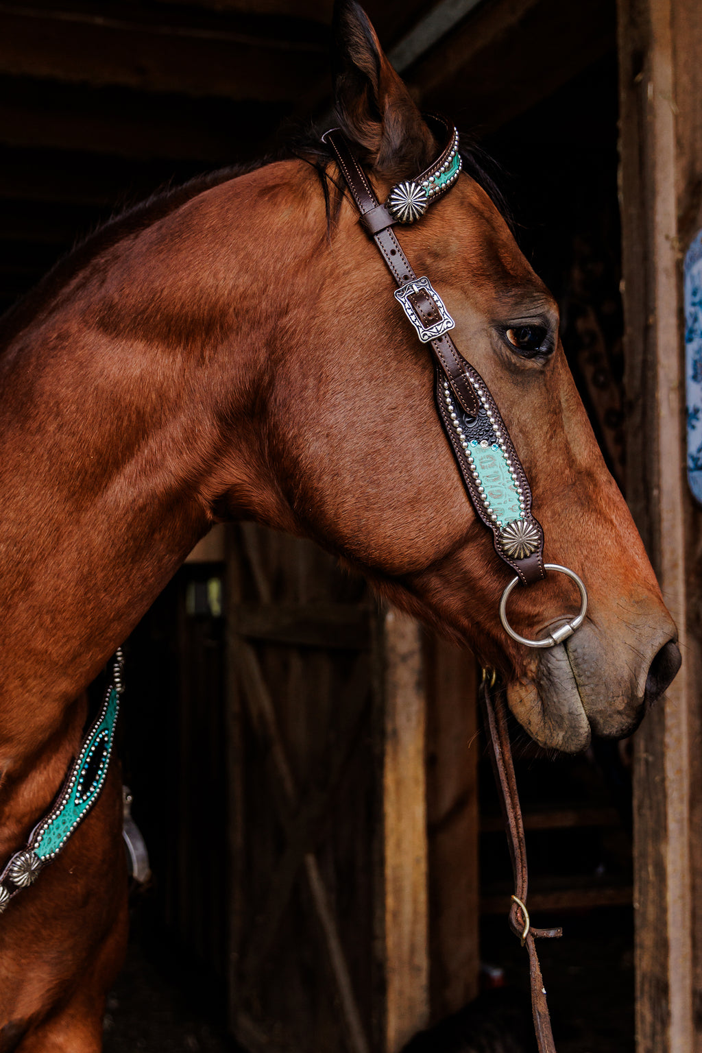 PLR Rowdy Rhinestone Tack Set
