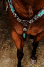 PLR Rowdy Rhinestone Tack Set