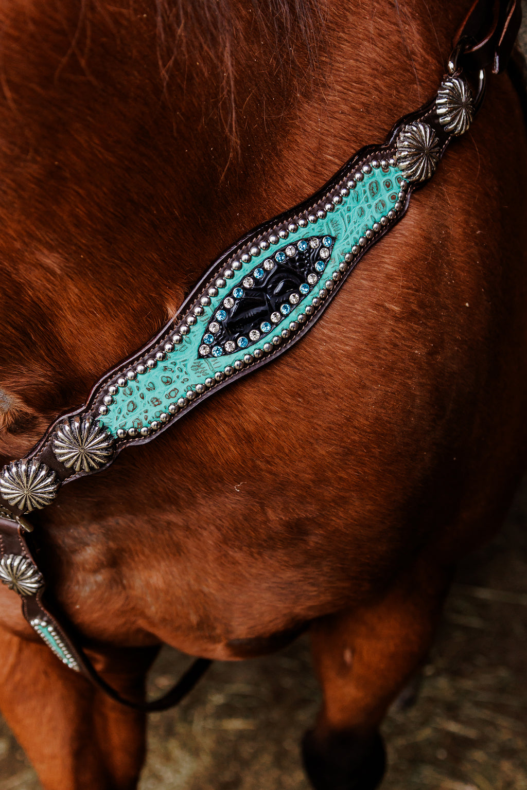 PLR Rowdy Rhinestone Tack Set