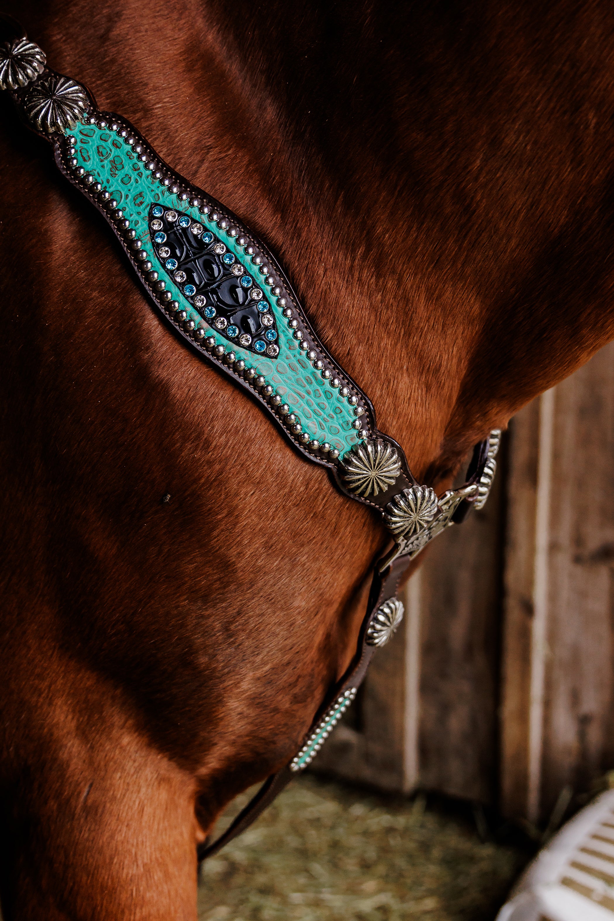 PLR Rowdy Rhinestone Tack Set