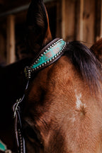 PLR Rowdy Rhinestone Tack Set