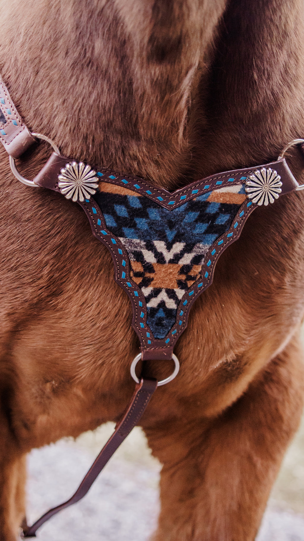 PLR Blue Ridge Pendleton Gladiator Tack Set