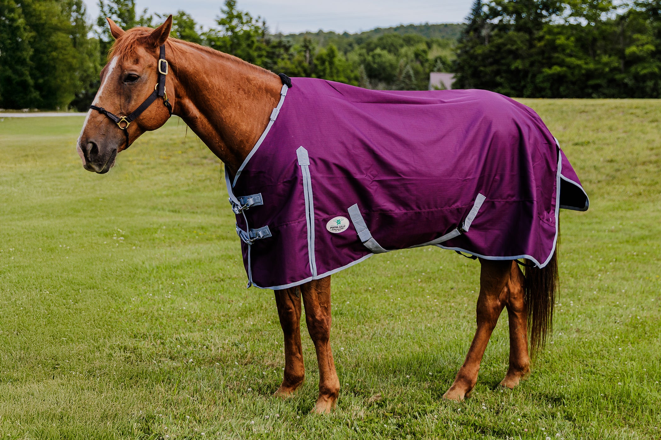 PLR Rain Sheet Plum/Grey