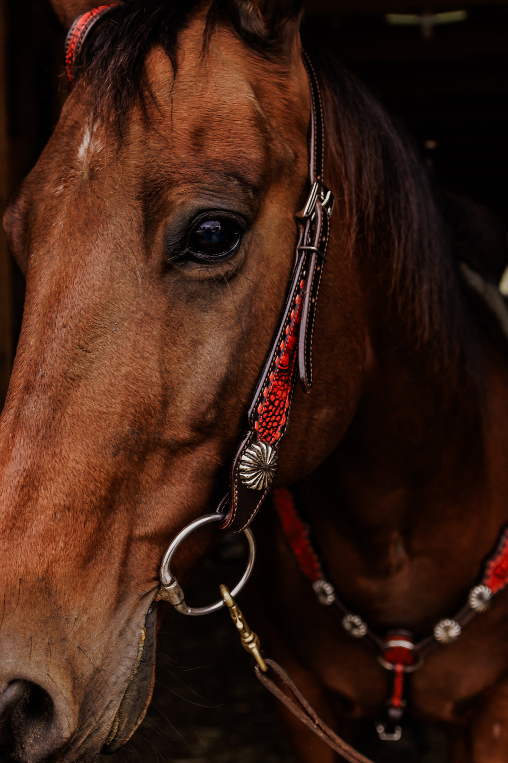 PLR Crimson Outlaw Tack Set