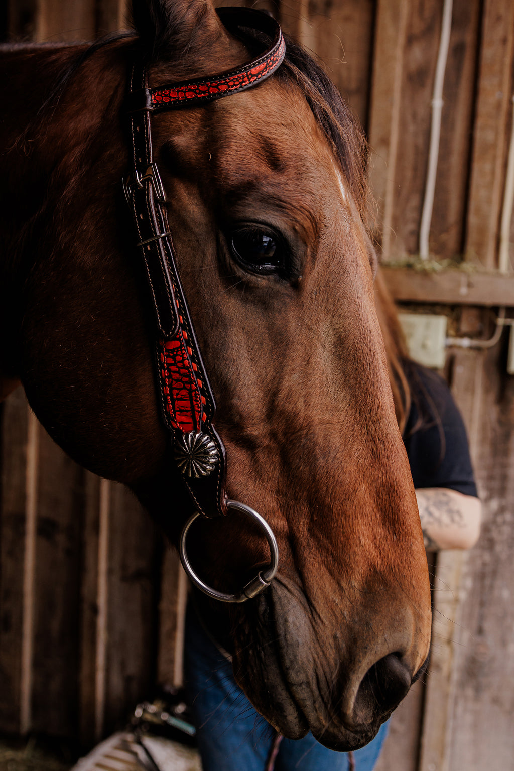 PLR Crimson Outlaw Tack Set