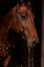 PLR Crimson Outlaw Tack Set