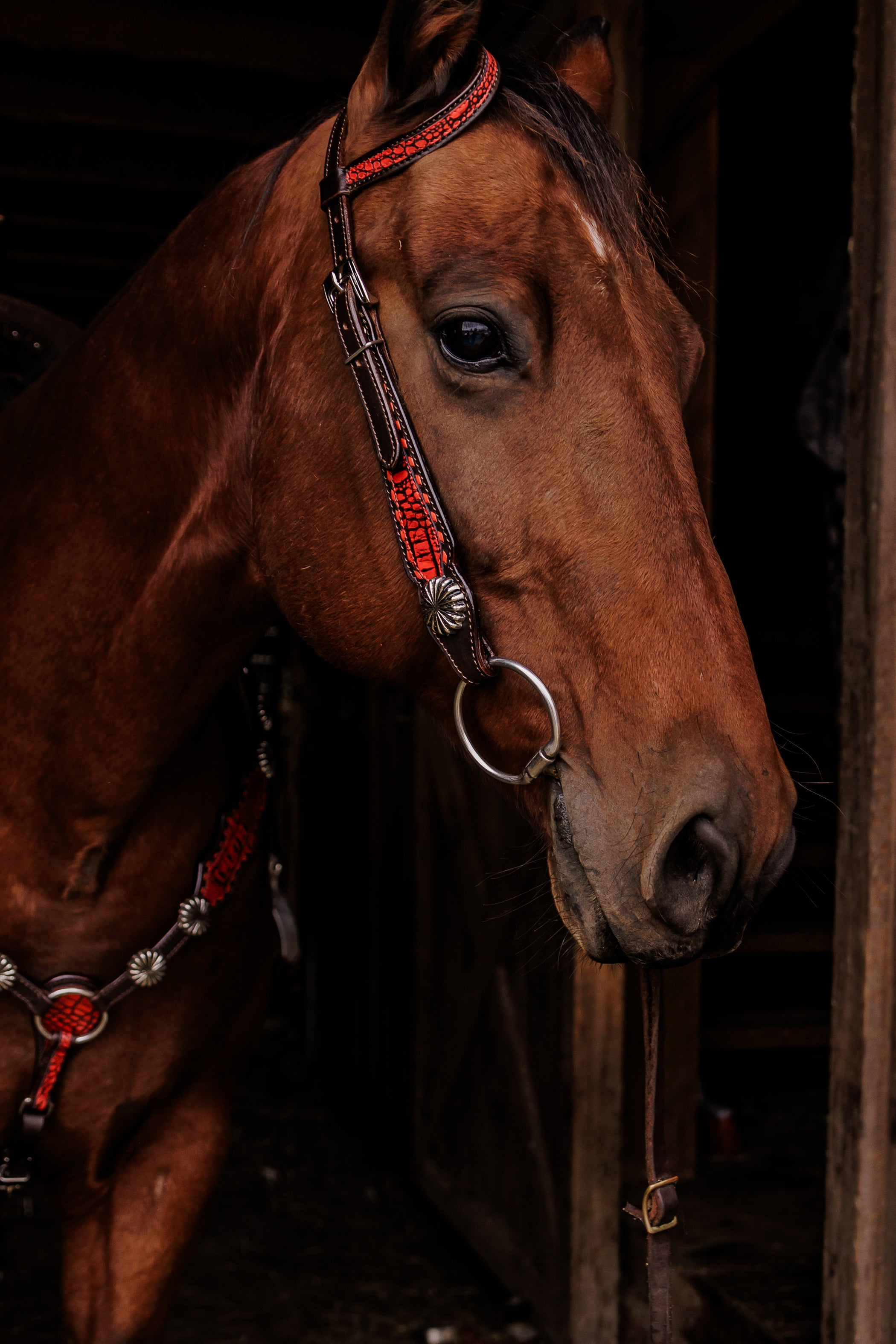 PLR Crimson Outlaw Tack Set