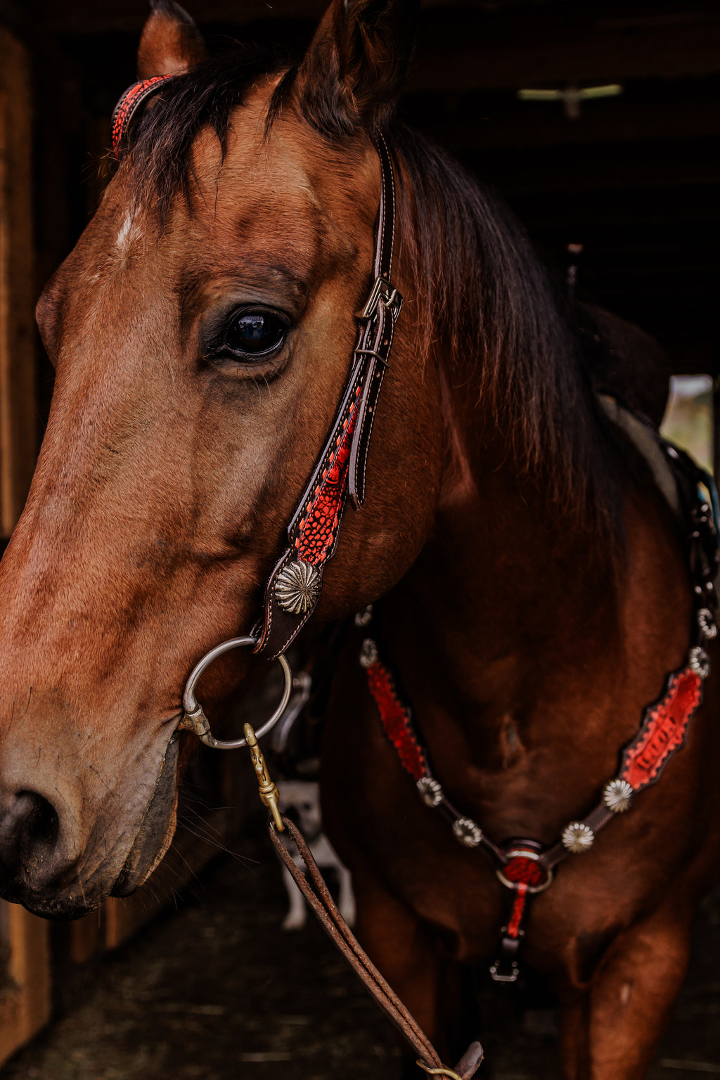 PLR Crimson Outlaw Tack Set