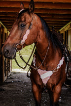 PLR Pink Champagne Cowgirl Tack Set