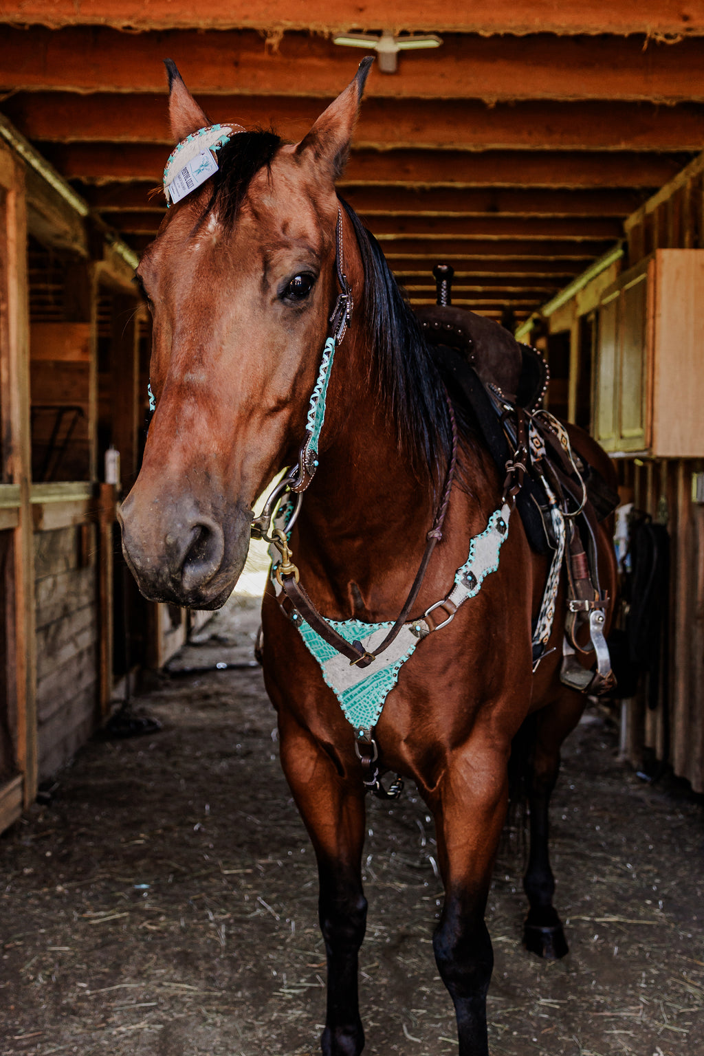 PLR Artic Cowgirl Tack Set