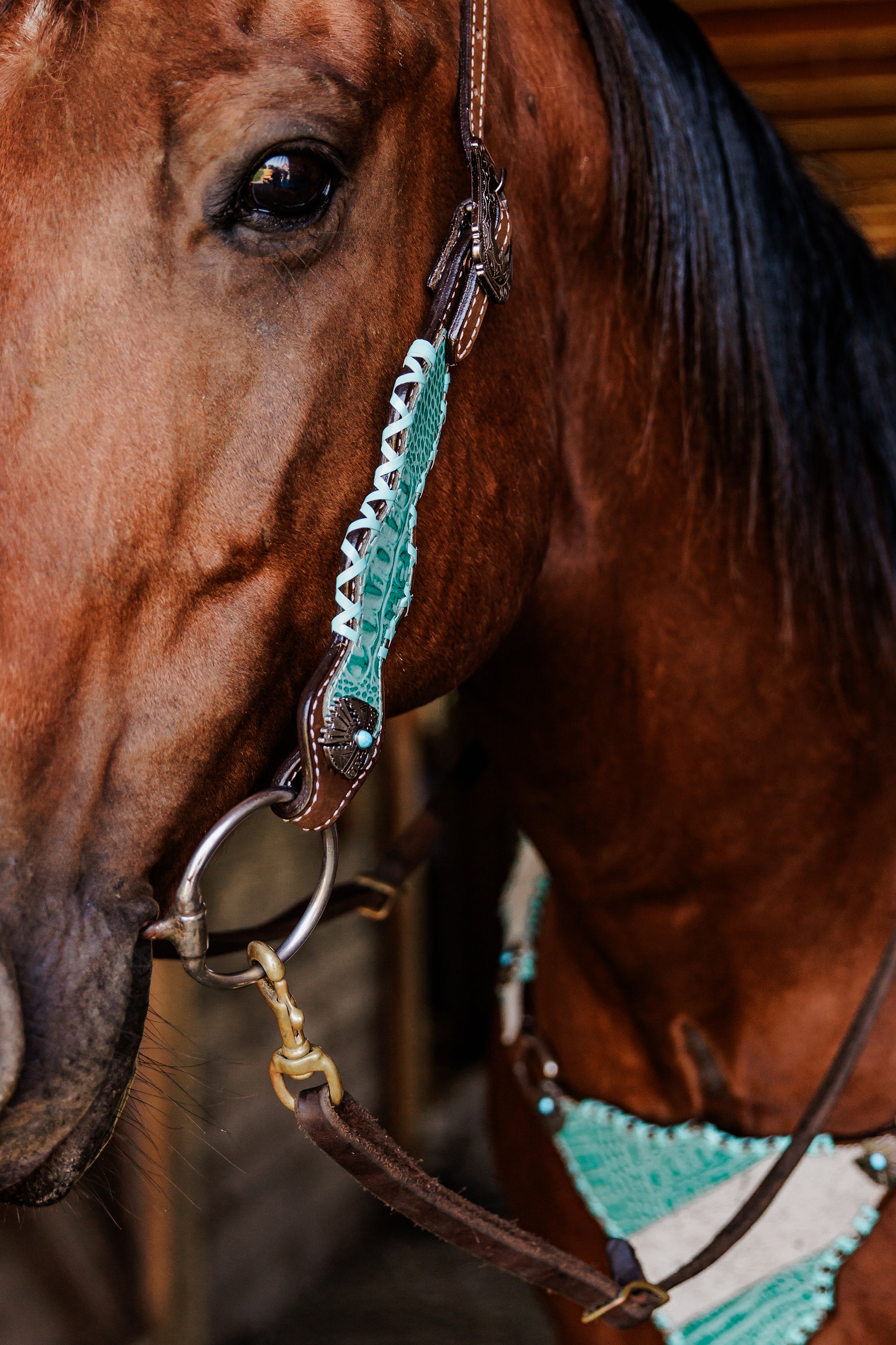 PLR Artic Cowgirl Tack Set