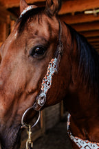 PLR Turquoise Trails Tack Set