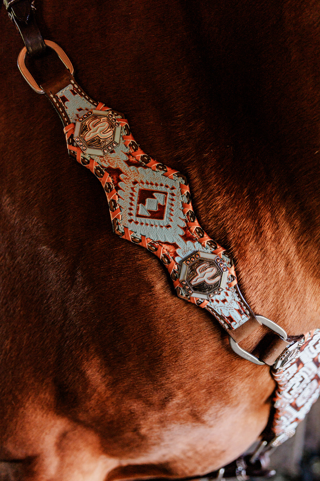 PLR Turquoise Trails Tack Set