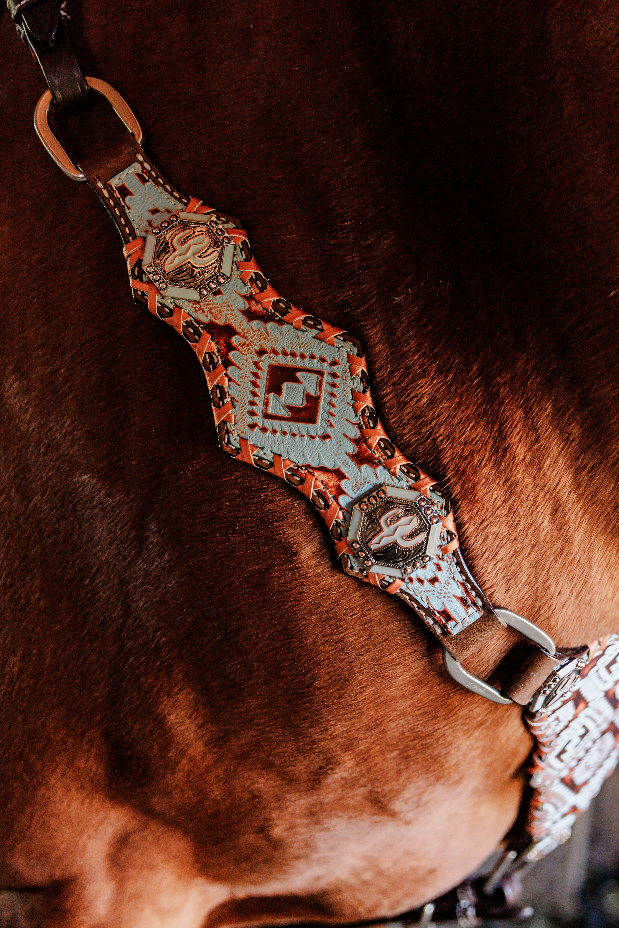 PLR Turquoise Trails Tack Set