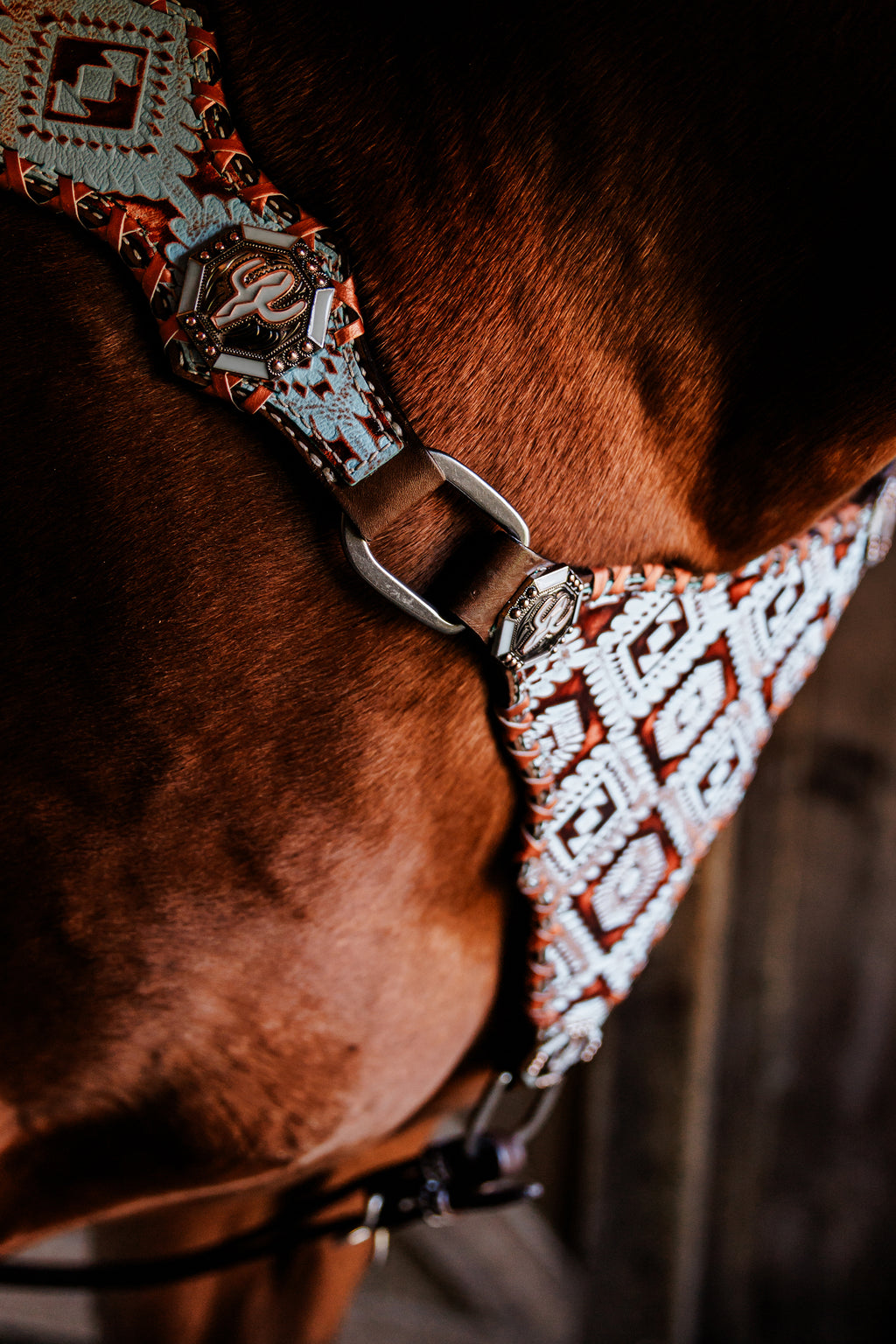 PLR Turquoise Trails Tack Set