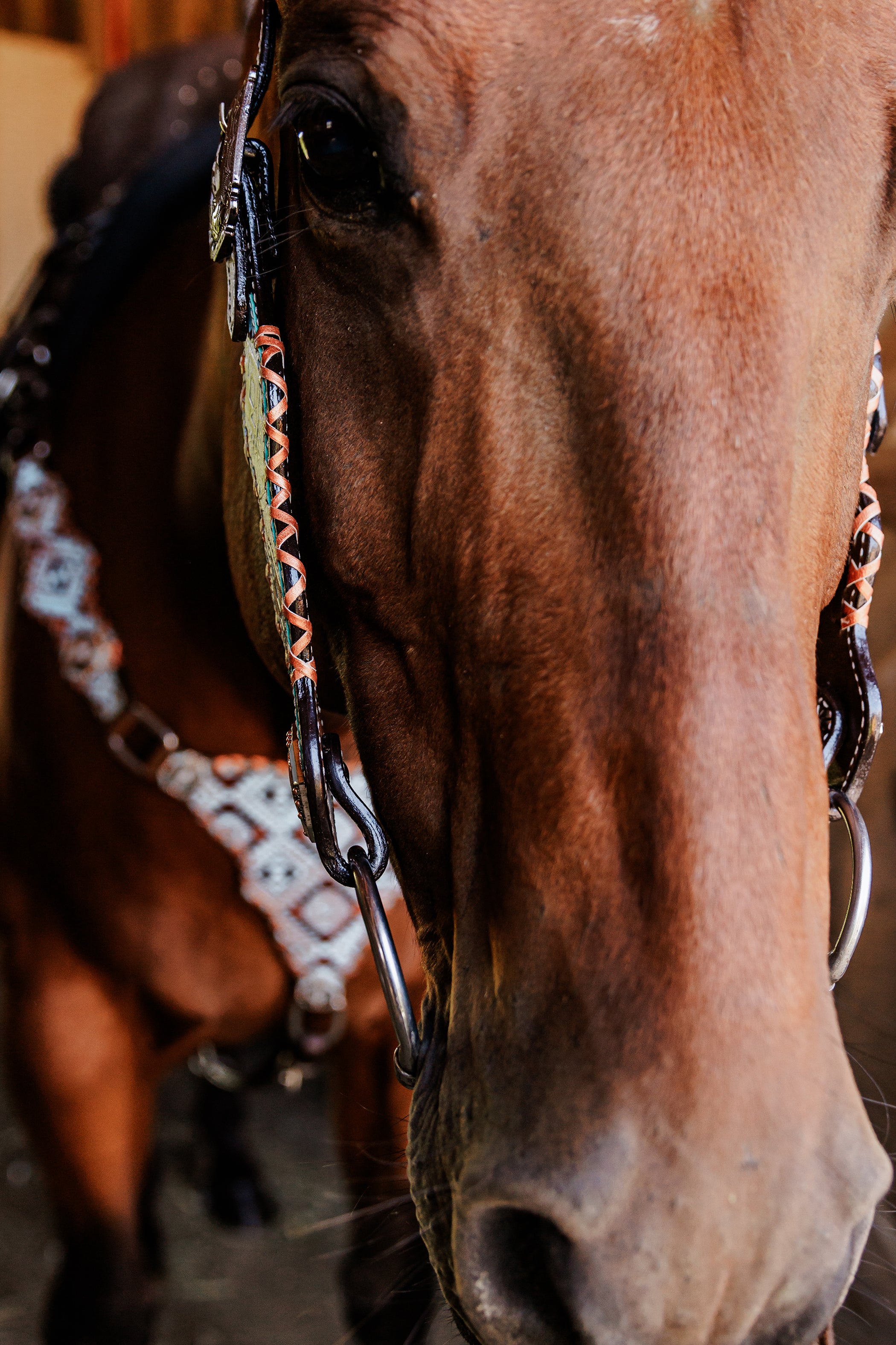 PLR Turquoise Trails Tack Set