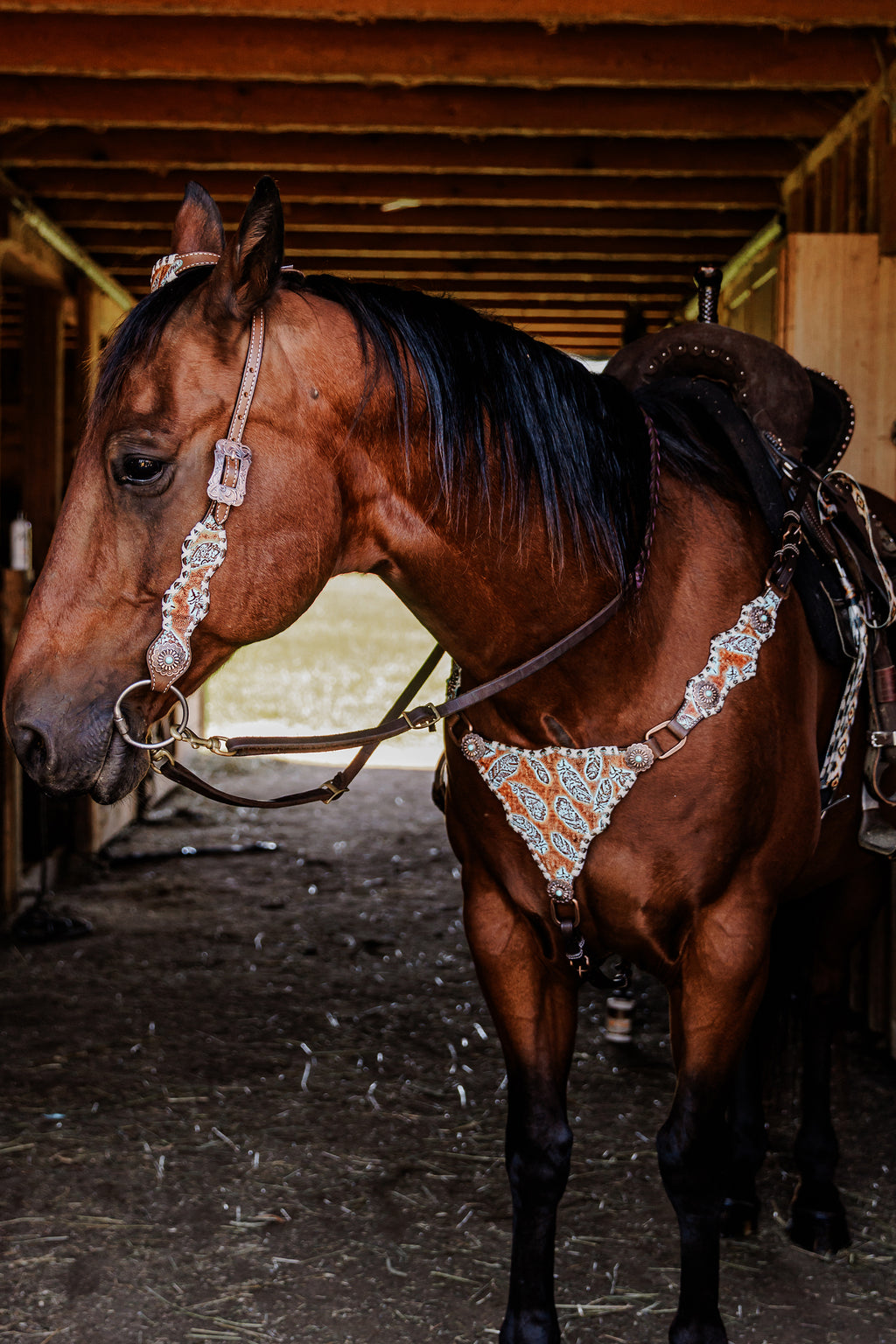 PLR Rustic Feather Cowgirl Tack Set