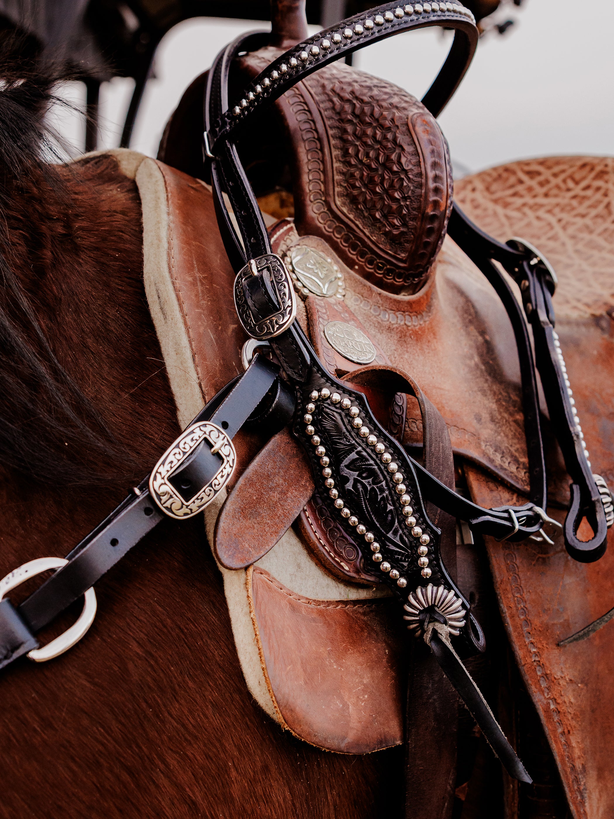 PLR Tooled Night Tack Set