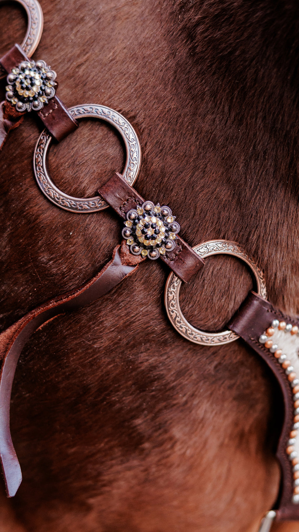 PLR Copper Bloom Gladiator