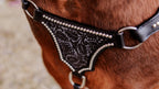 PLR Tooled Night Tack Set
