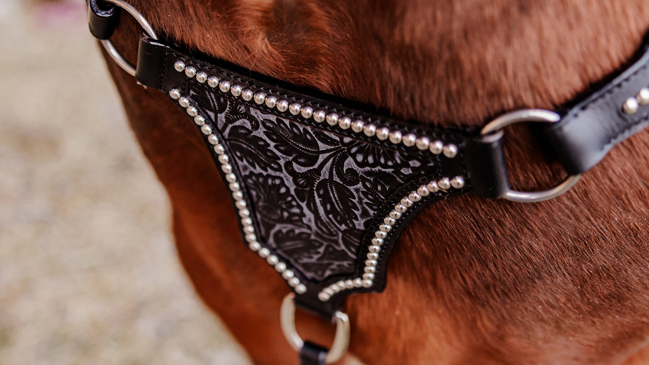 PLR Tooled Night Tack Set