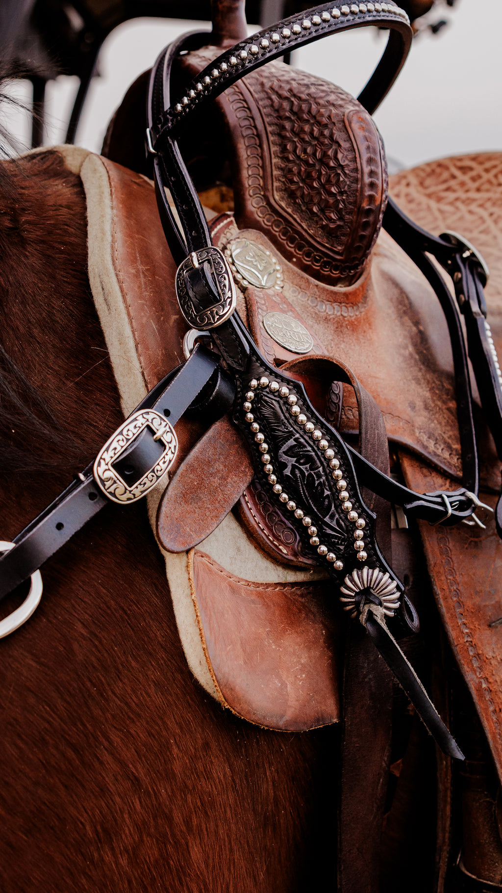 PLR Tooled Night Tack Set