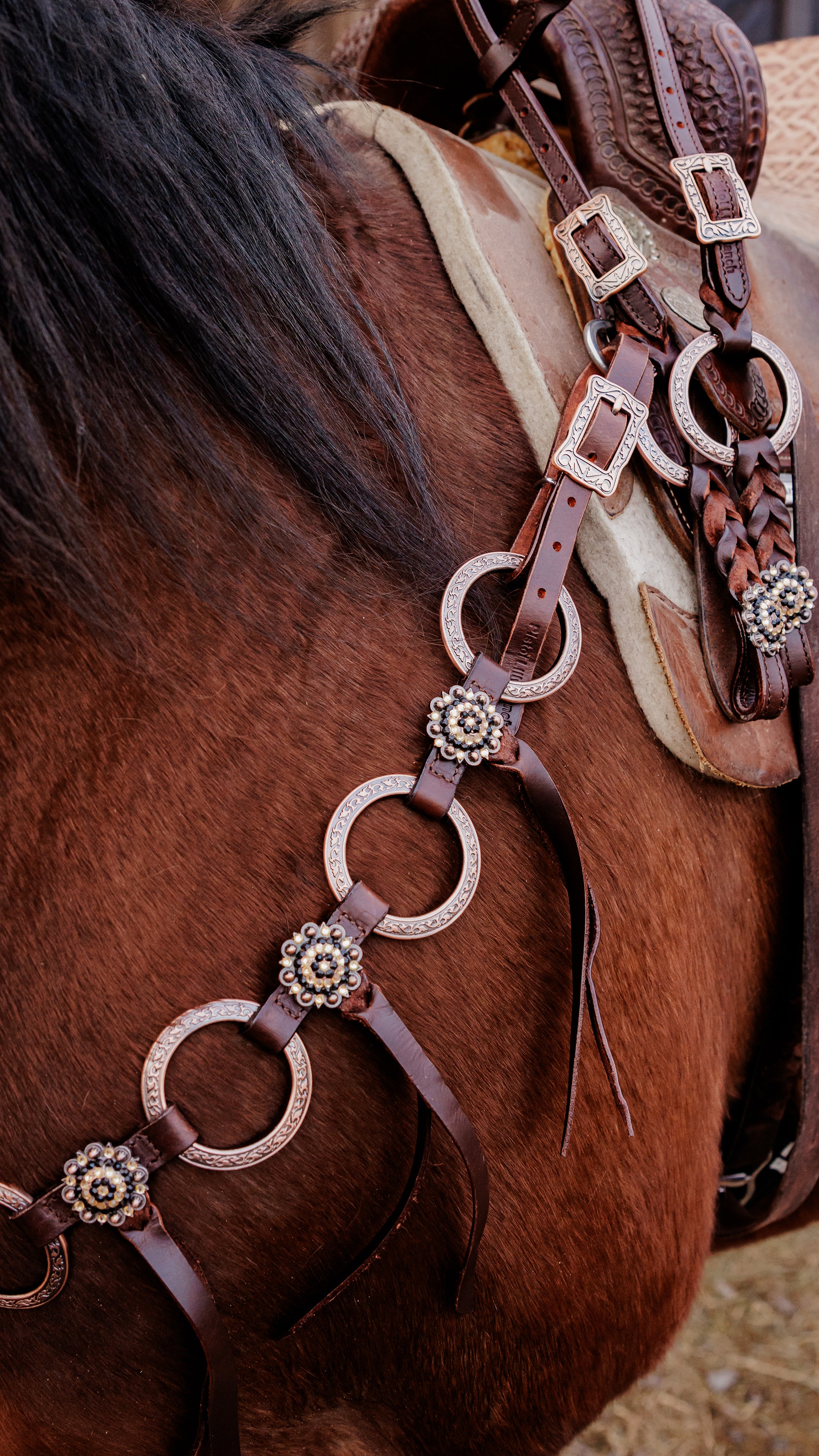 PLR Copper Bloom Gladiator